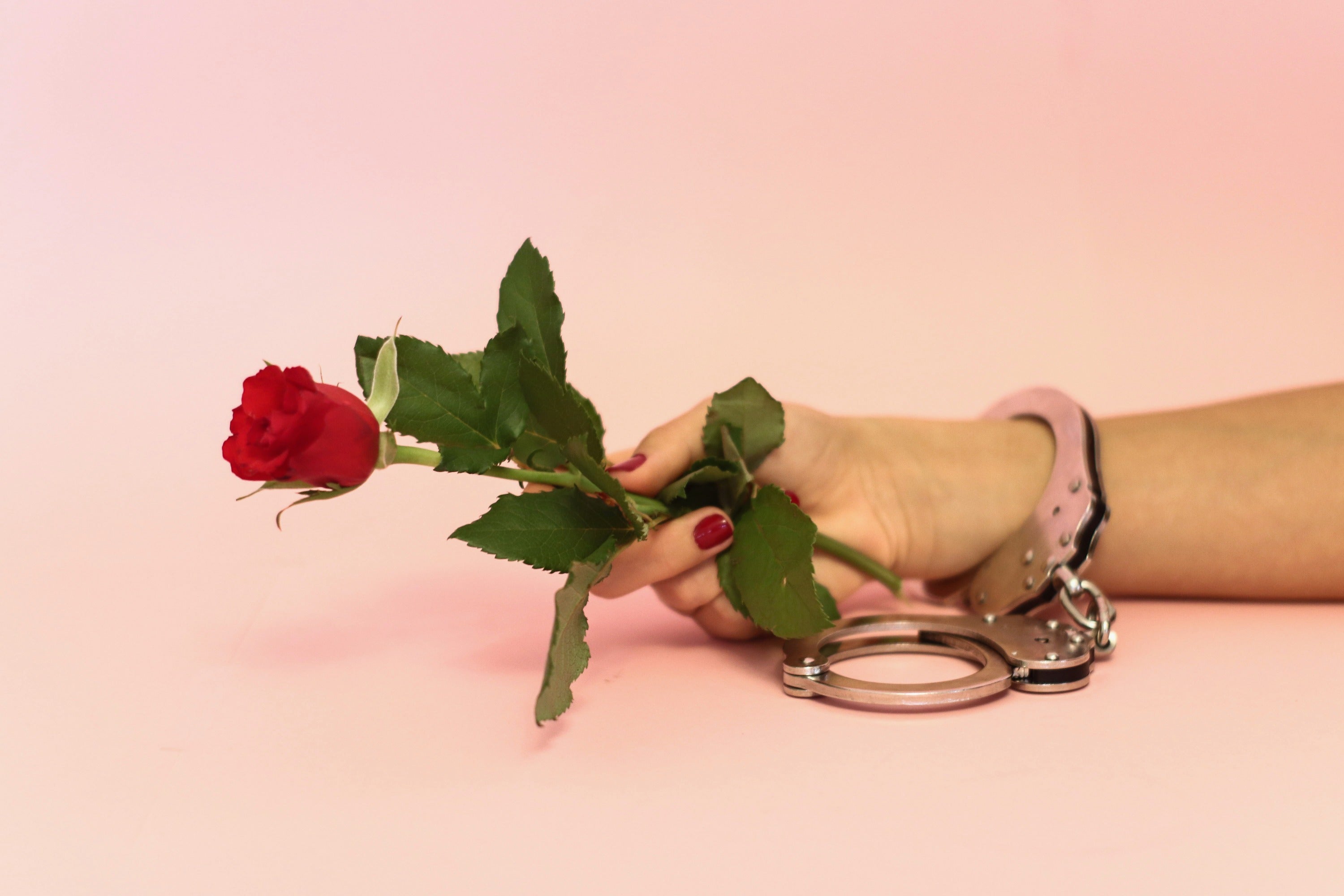 Woman's hand holding a red rose and wearing hand cuff